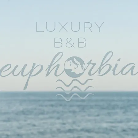 Luxury Euphorbia *