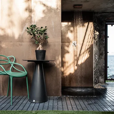 Luxury Euphorbia Acireale
