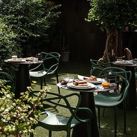Luxury Euphorbia * Acireale