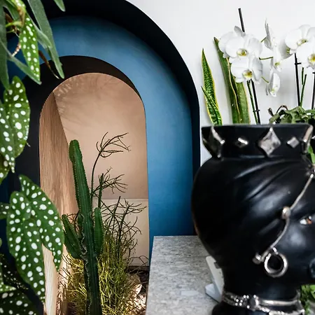 Luxury Euphorbia *