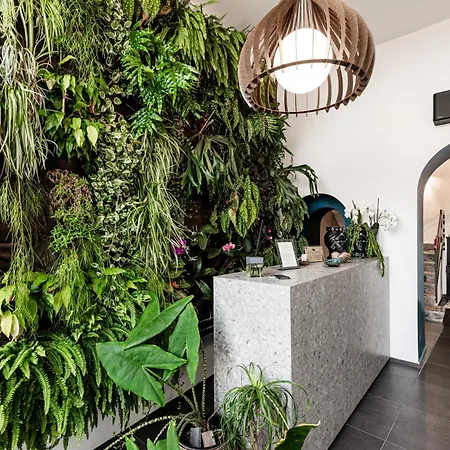 Luxury Euphorbia Bed and Breakfast